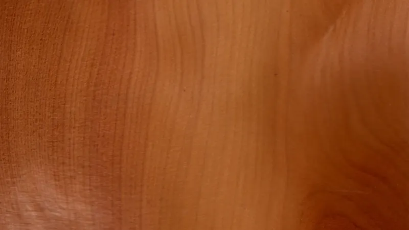 European Yew grain