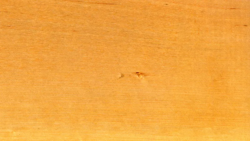 Silver Birch grain