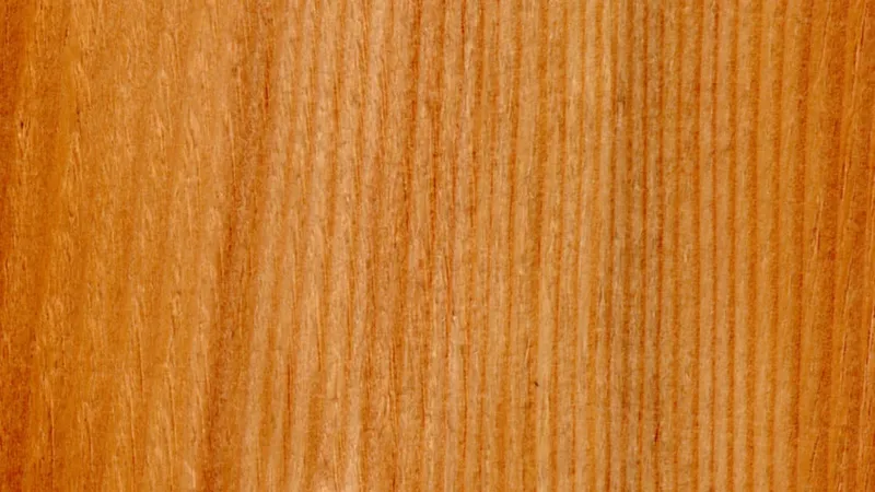 Silver Fir grain