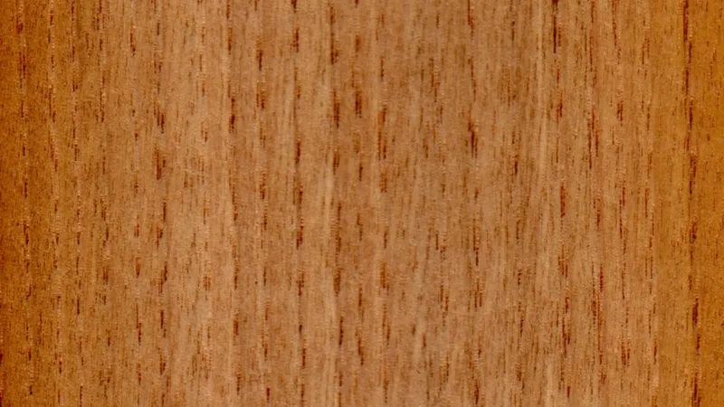 Sweet Chestnut grain